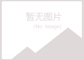 大关县山柏司法有限公司